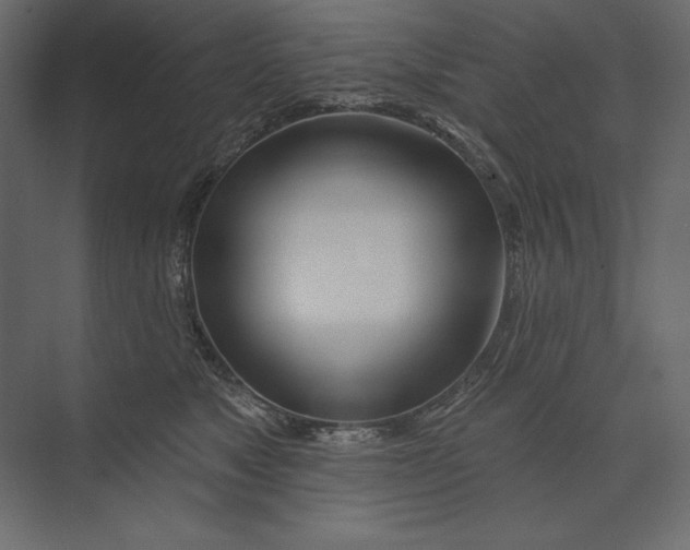 X0000073420517200608181124