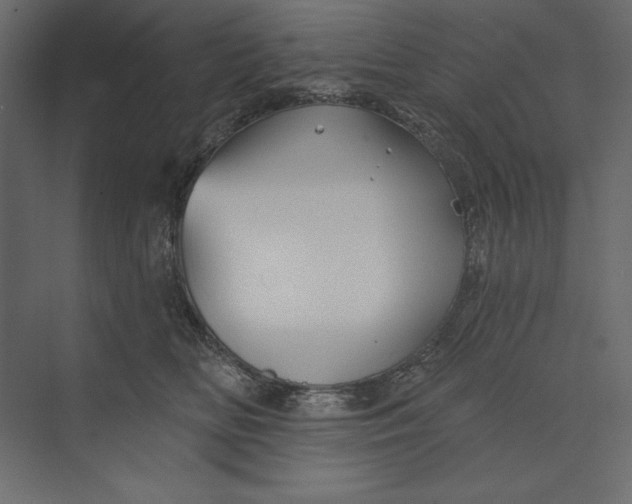 X0000073420518200608181124