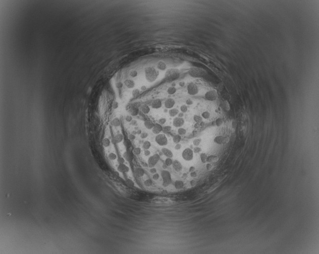 X0000073420519200608181124