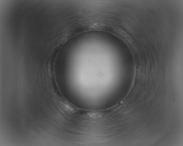 X0000073420520200608181124