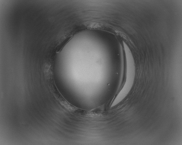 X0000073420521200608181124