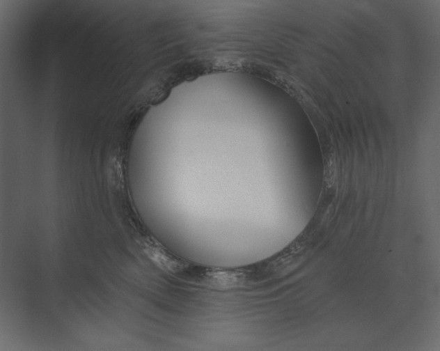 X0000073420522200608181124