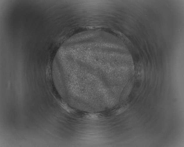 X0000073420523200608181124