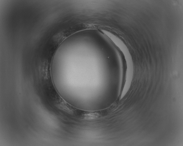 X0000073420525200608181124