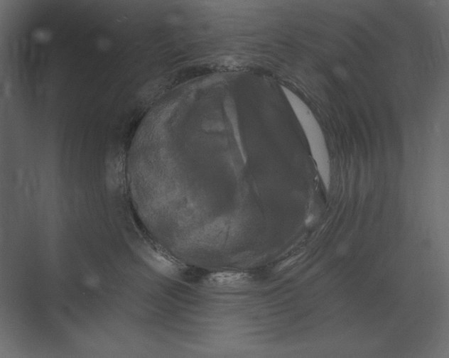 X0000073420526200608181124