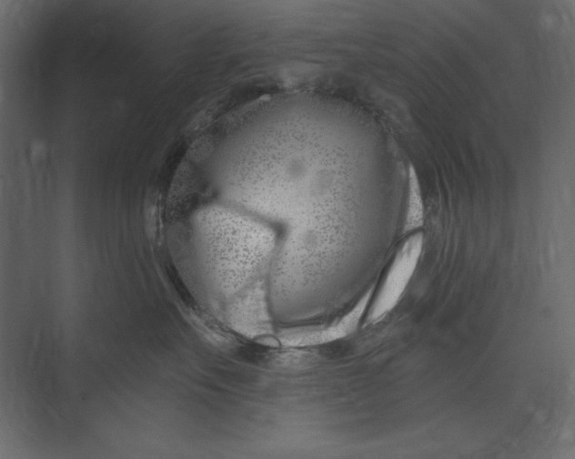 X0000073420527200608181124