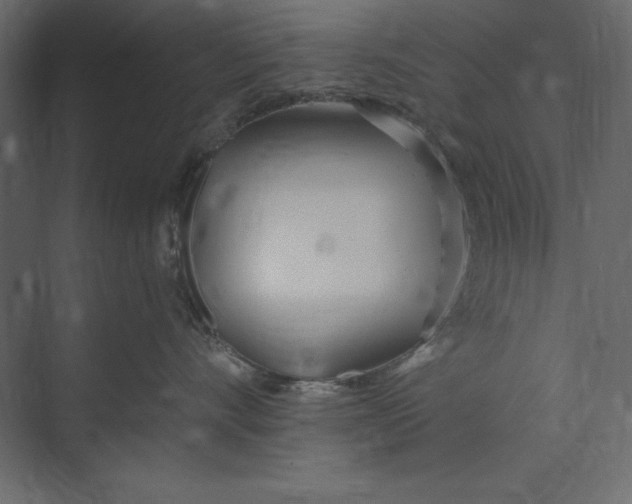 X0000073420528200608181124