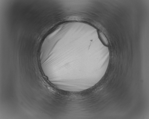 X0000073420529200608181123