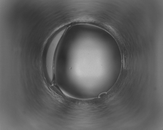 X0000073420531200608181123