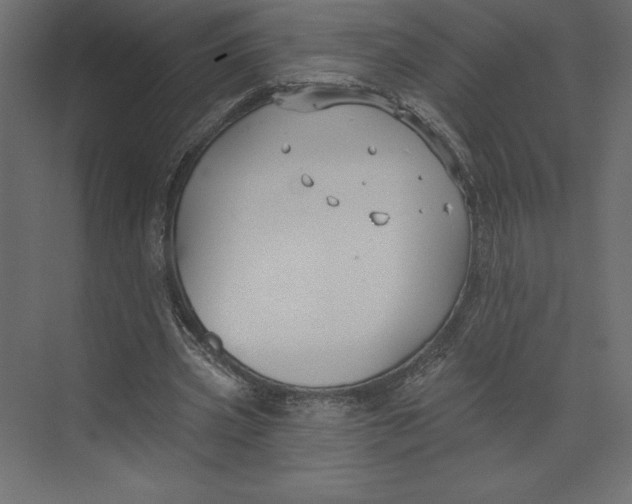 X0000073420533200608181123