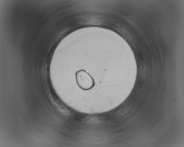 X0000073420534200608181123