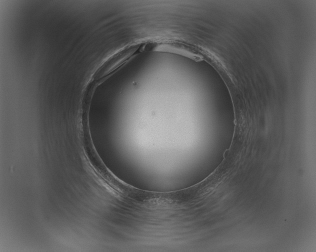 X0000073420535200608181123