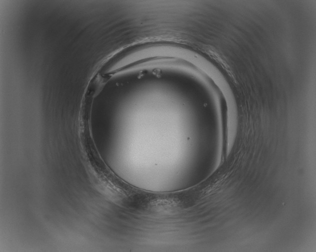 X0000073420536200608181123