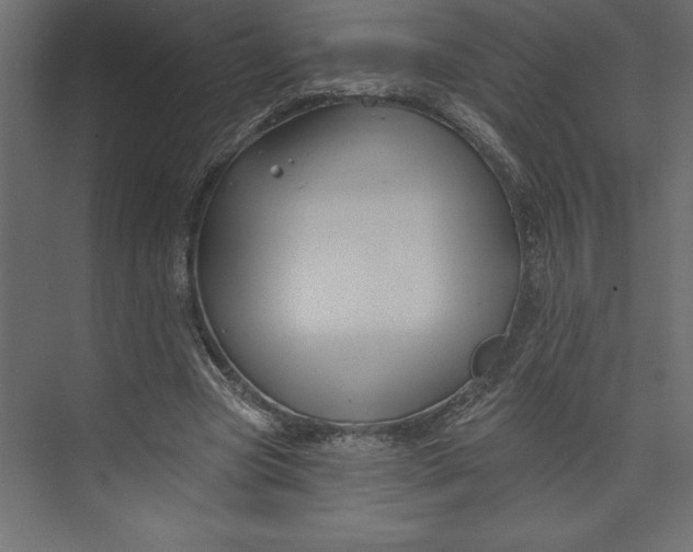 X0000073420537200608181123