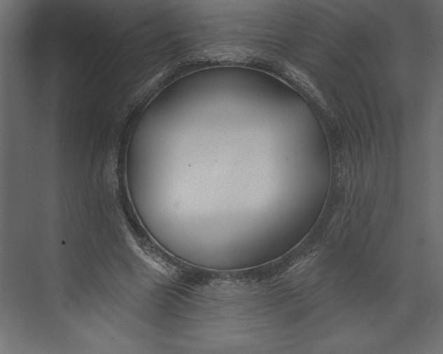 X0000073420538200608181123