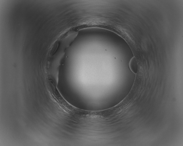 X0000073420539200608181124