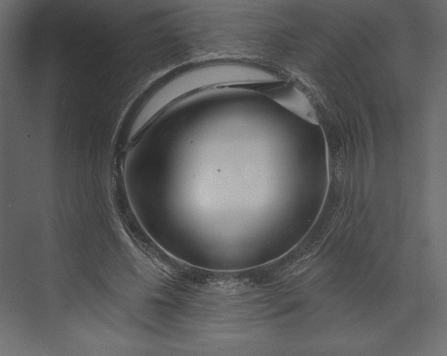 X0000073420540200608181124