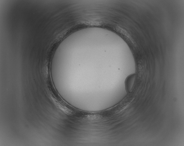 X0000073420541200608181124