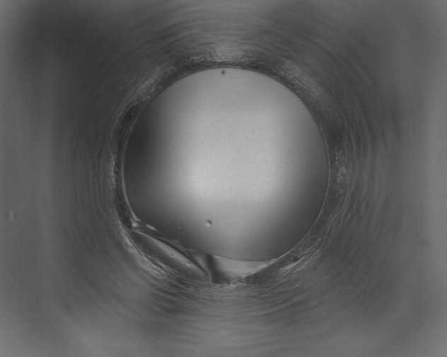 X0000073420542200608181124