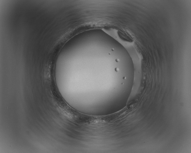 X0000073420543200608181124