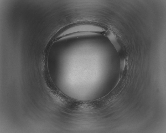 X0000073420544200608181124