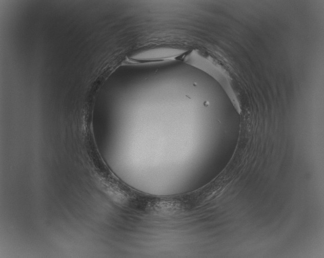 X0000073420546200608181124