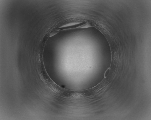 X0000073420547200608181124