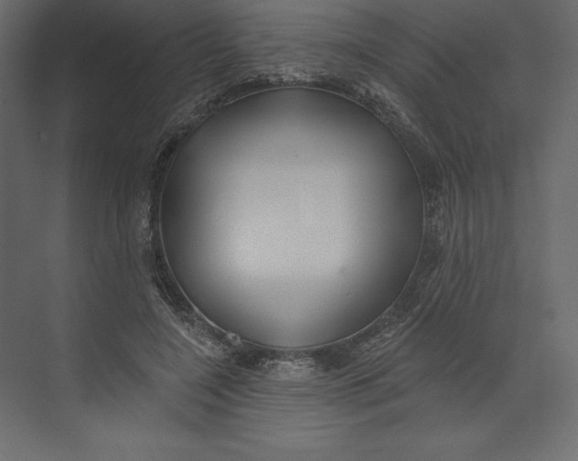 X0000073420548200608181124