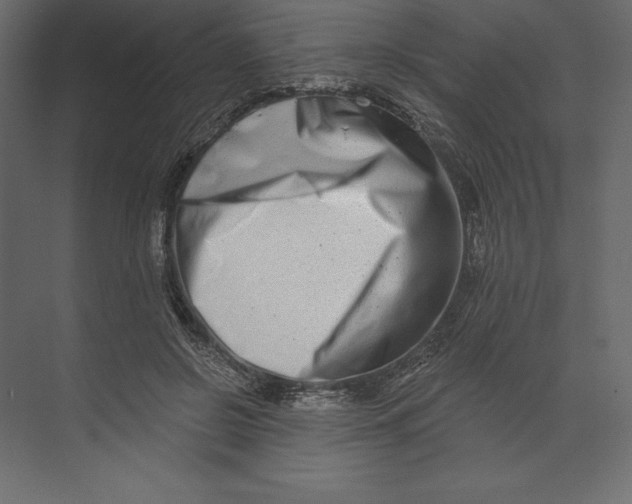 X0000073420550200608181124