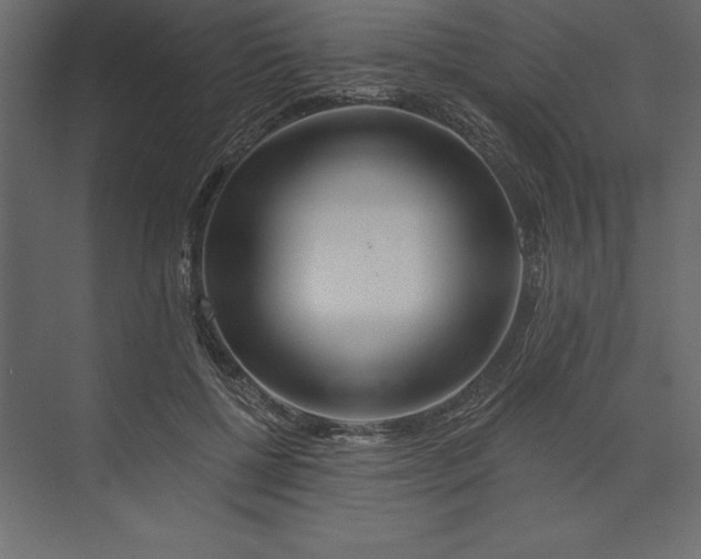 X0000073420552200608181124