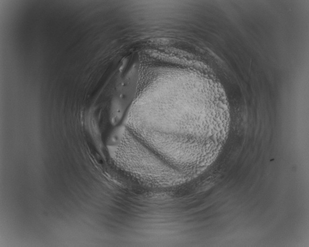 X0000073420553200608181124