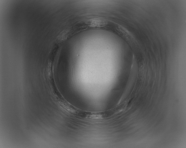 X0000073420554200608181124