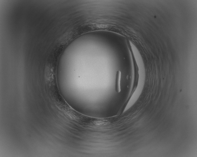 X0000073420555200608181124