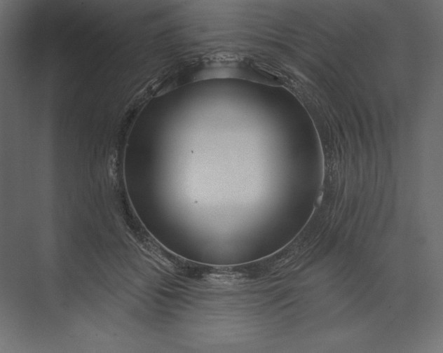 X0000073420556200608181124