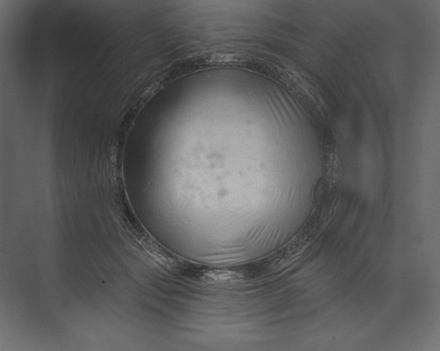 X0000073420557200608181124