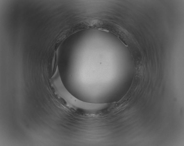 X0000073420558200608181124