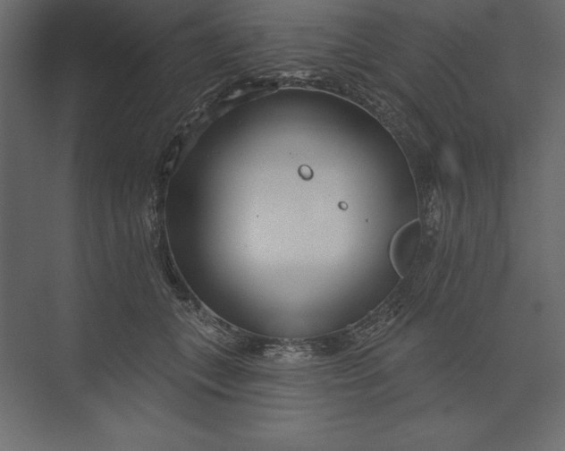 X0000073420559200608181124