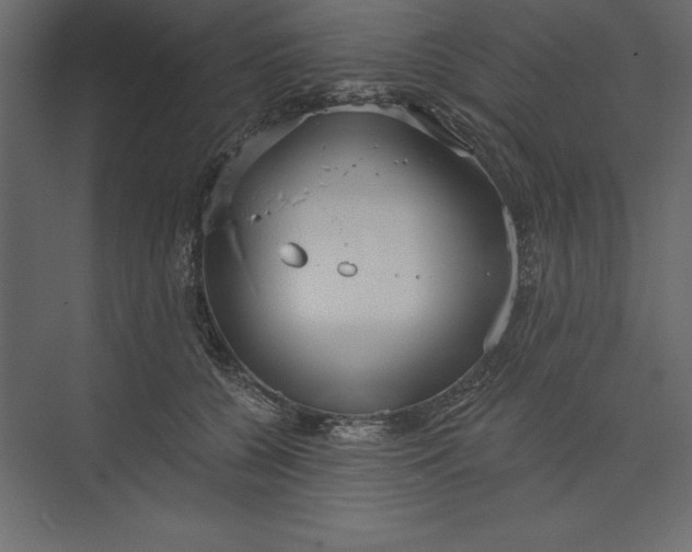 X0000073420560200608181124