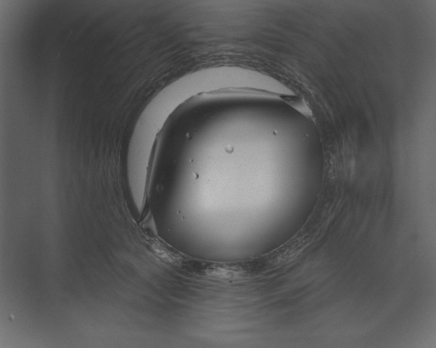 X0000073420561200608181124