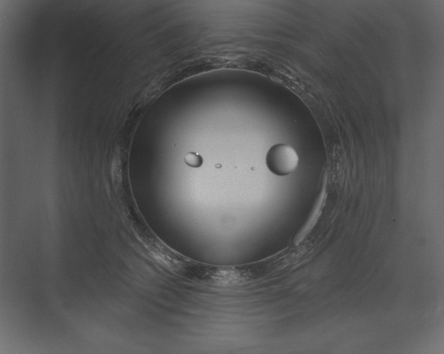 X0000073420562200608181124