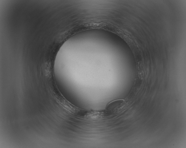 X0000073420563200608181124