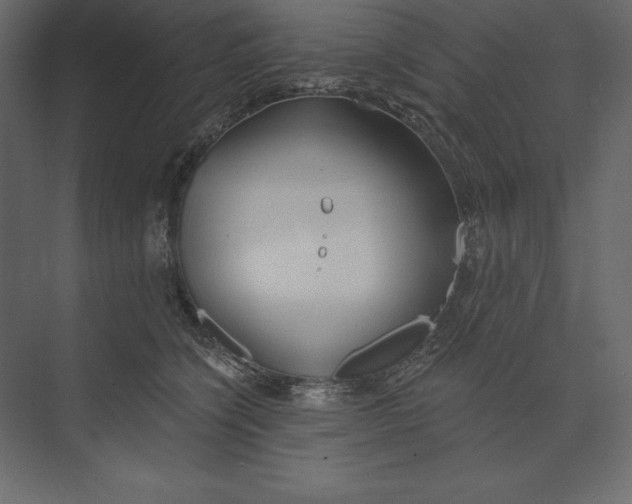 X0000073420564200608181124