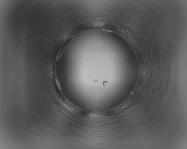 X0000073420568200608181124