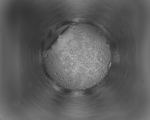 X0000073420569200608181124