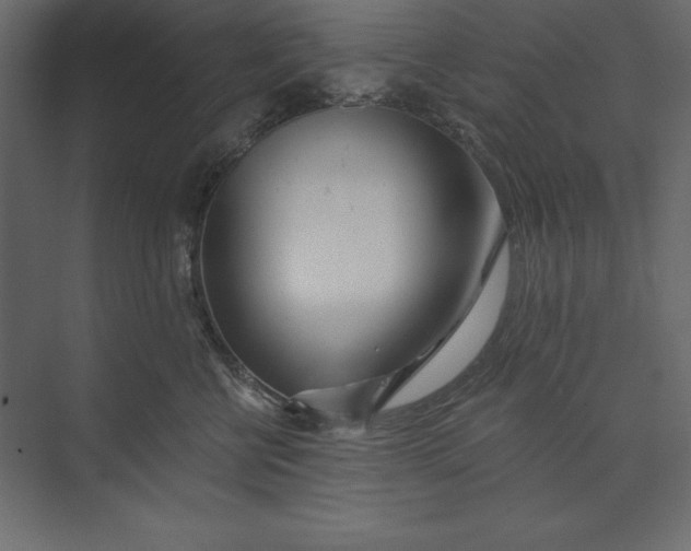 X0000073420570200608181124