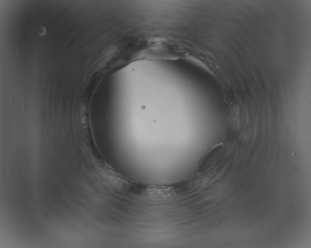 X0000073420571200608181124