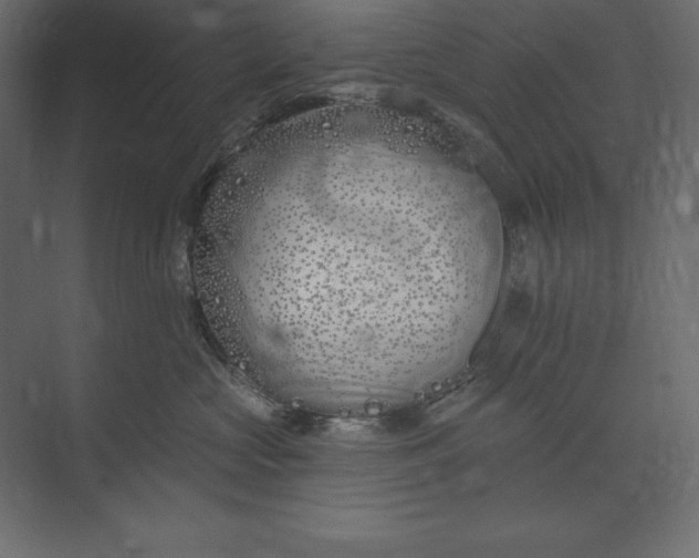 X0000073420573200608181124