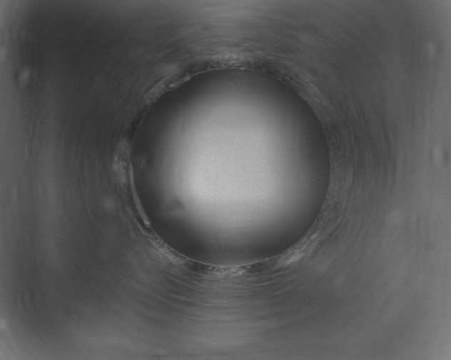 X0000073420576200608181124