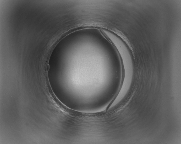 X0000073420577200608181123