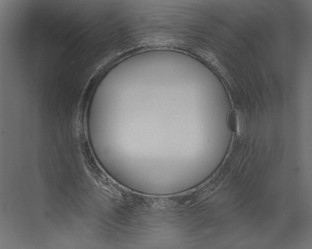 X0000073420579200608181123